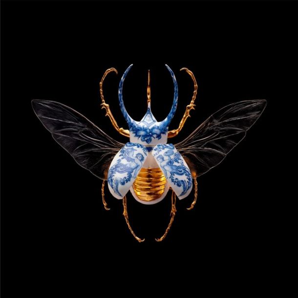 Samuel Dejong Anatomia Blue Heritage Delft Blue Prints Series - Atlas Beetle Wings Open