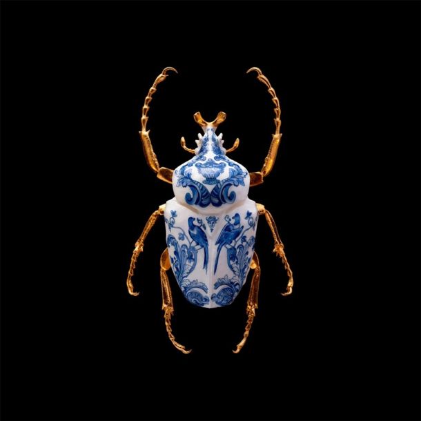 Samuel Dejong Anatomia Blue Heritage Delft Blue Prints Series - Goliath Beetle Wings Closed
