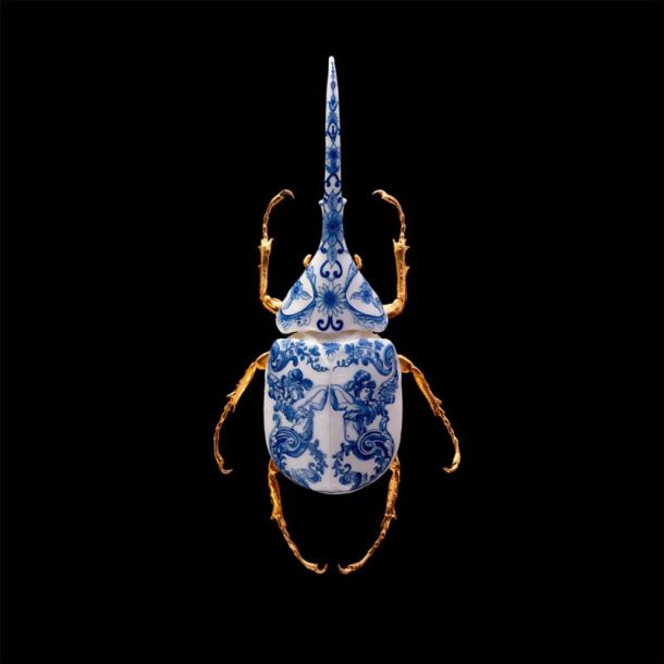 Samuel Dejong Anatomia Blue Heritage Delft Blue Prints Series - Hercules Beetle Wings Closed