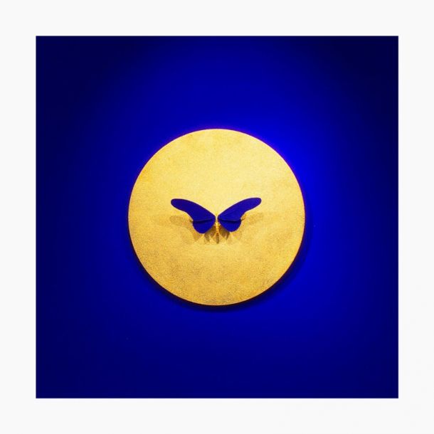 Samuel Dejong Anatomia Inversion Gold on Blue Series - Butterfly