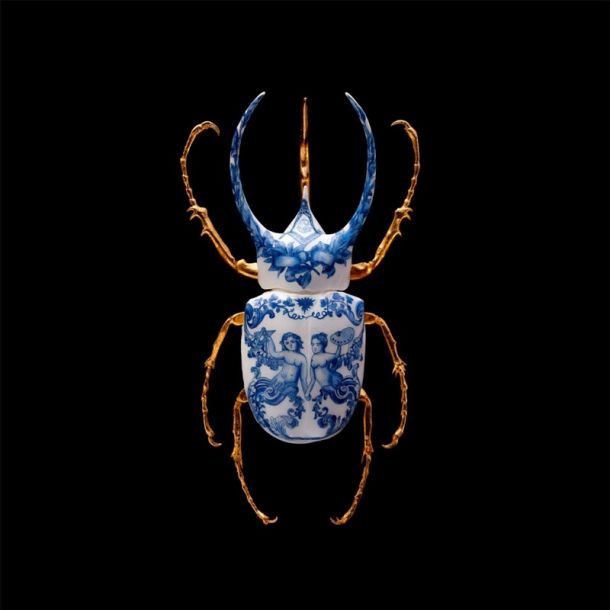 Samuel Dejong Anatomia Blue Heritage Delft Blue Prints Series - Atlas Beetle Wings Closed