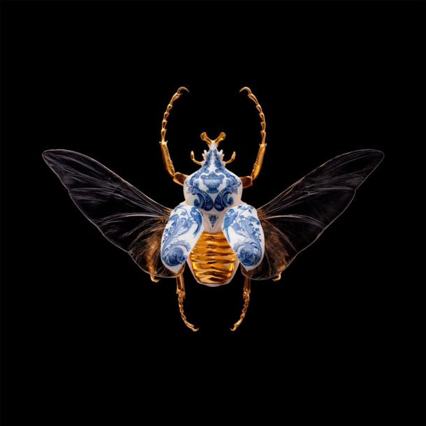 Samuel Dejong Anatomia Blue Heritage Delft Blue Prints Series - Goliath Beetle Wings Open
