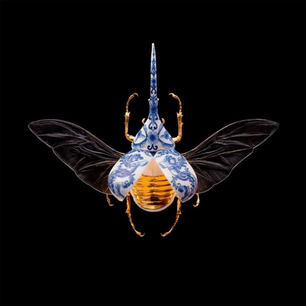 Samuel Dejong Anatomia Blue Heritage Delft Blue Prints Series - Hercules Beetle Wings Open
