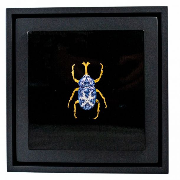 Samuel Dejong Anatomia Box Series - Goliath Beetle on Black 